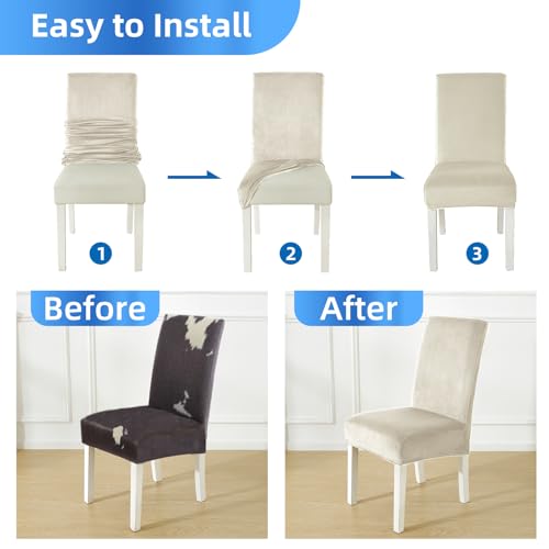 CYCMACO Stuhlhussen Samt 4er Set, Stretch Stuhlüberzieher, Stuhlbezug Schwingstuhl, Hussen Für Stühle Hochlehner, Stuhlbezüge Kratzfest, Universal Chair Cover Waschbarer, Beige