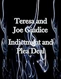 Teresa and Joe Guidice Indictment and Plea Deal
