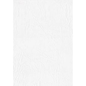 ムック(MUCC)色紙　JITR 10th記念色紙と手拭い シャチハタ 手形 足形アート制作キット FirstArt 色紙 ウサギと