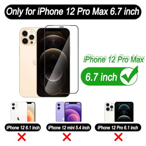 iPhone 12 Pro Max film écran HD mat pour une utilisation en extérieur
