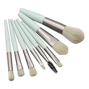 Multifunctional Mini Brush Makeup Tool Powder Beauty Brush Loose Brush Set Beauty Tools Beauty Must Haves