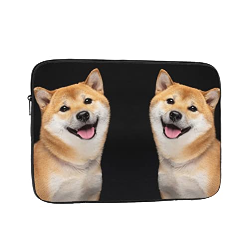 Č ΂ m[gp\RP[X 15 inch C` bvgbvX[u PCP[X X[uP[X Ci[P[X ϏՌ ϐ ʋ ʊw 킢 یP[X/m[gubN/^ubg