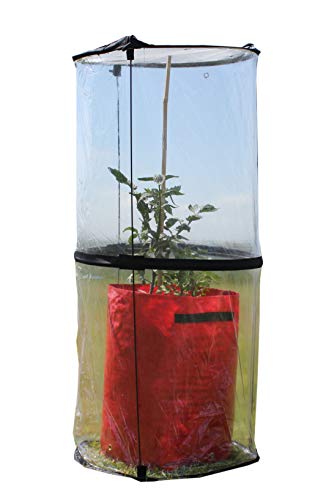 haxnicks tomato - Tierra Garden 50-6070 Haxnicks Pop Up Tomato Cloche