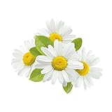 Zoom IMG-2 arya hd sinergie di oli Zoom IMG-2 arya hd sinergie di oli