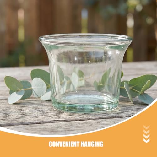 Cuencos de vidrio para comedero de pájaros BESPORTBLE transparentes anti-impacto 5