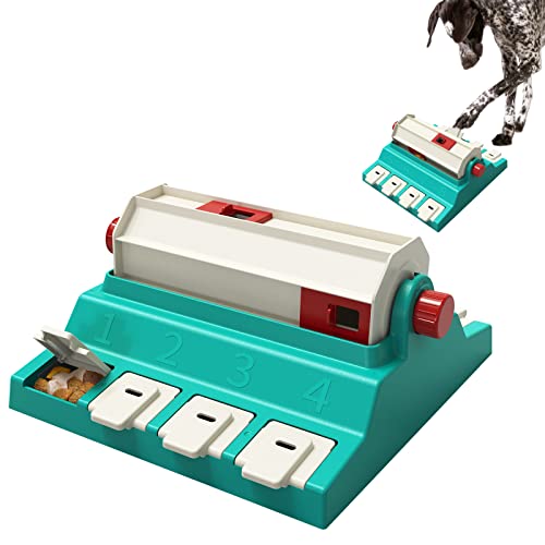 Best Mental Stimulation Activities for Dogs Keep Your Pup Happy and