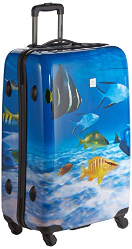 Preisvergleich Produktbild Saxoline Fish Tank Koffer, 77 cm, 81 Liter, Blau