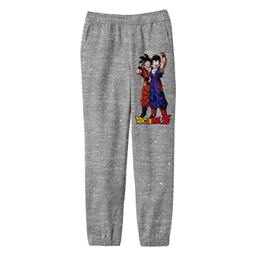 Bioworld Dragon Ball Z Goku and Gohan with Logo Youth Gray Graphic Sweatpants