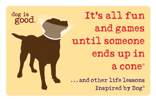 It's All Fun and Games Until Someone Ends Up in a Cone(r): ...and Other Life Lessons Inspired by Dog(r) (Dog Is Good)