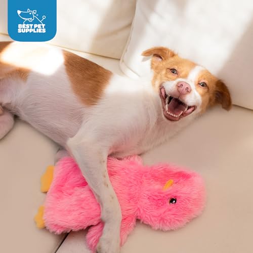 image for Best Pet Supplies Interactive Squeaky Dog Chew Toy, Ideal Dog Toys for