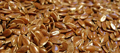 Portal Cool 60G semi Fertilizzanti Verde Lino Linum comune Usitatissimum Blue Flower