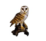 1 x Polyresin Deko Schleier-Eule auf Stamm mit realisitschen Merkmalen, detailierte Oberfläche und ausdrucksstarke Augen um täuschend echt auszusehen.