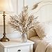 Hapart Boho Fluffy Dried Pampass Grass All-Natural Dried Plants with Bunny Tails for Vase Room Table Centerpieces Home Livingroom Decor 17inch (Pampas+White Leaves)