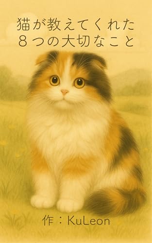 8 Important Things My Cat Taught Me: Living with my