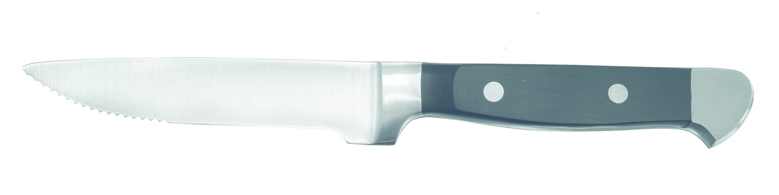 Chef & Sommelier Chelsea Steak Knife, Made in USA, 10-Inch, Set of 6