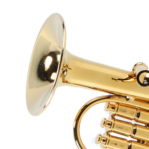 ACOLY Miniatur-Tuba-Modell, vergoldetes Euphonium, stilvolle Nachbildungen von Musikinstrumentenmodellen für Musikliebhaber, ideal für Büros und Autos (10 cm)