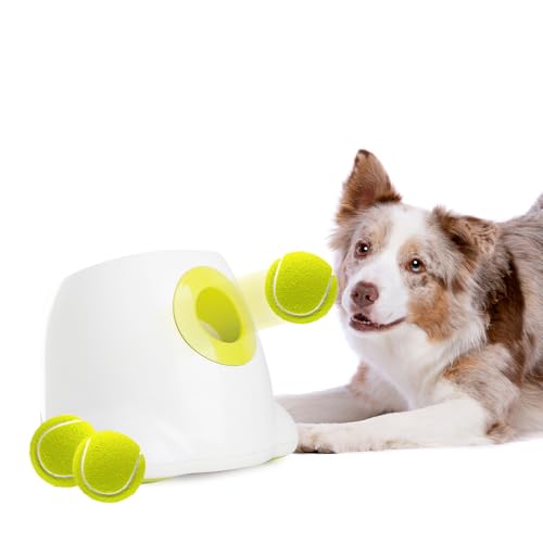 ALL FOR PAWS Automatic Ball Launcher for Dogs, Interactive Tennis Ball Outdoor Thrower for Medium to Large Dogs, Rechargeable Dog Toy, 6 Balls Included
