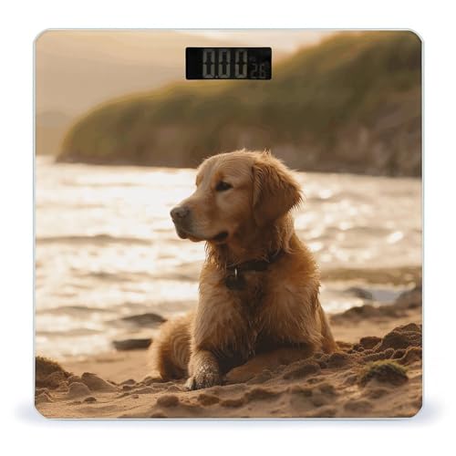 Báscula Digital de Baño Retriever de Vidrio Templado miniatura 1