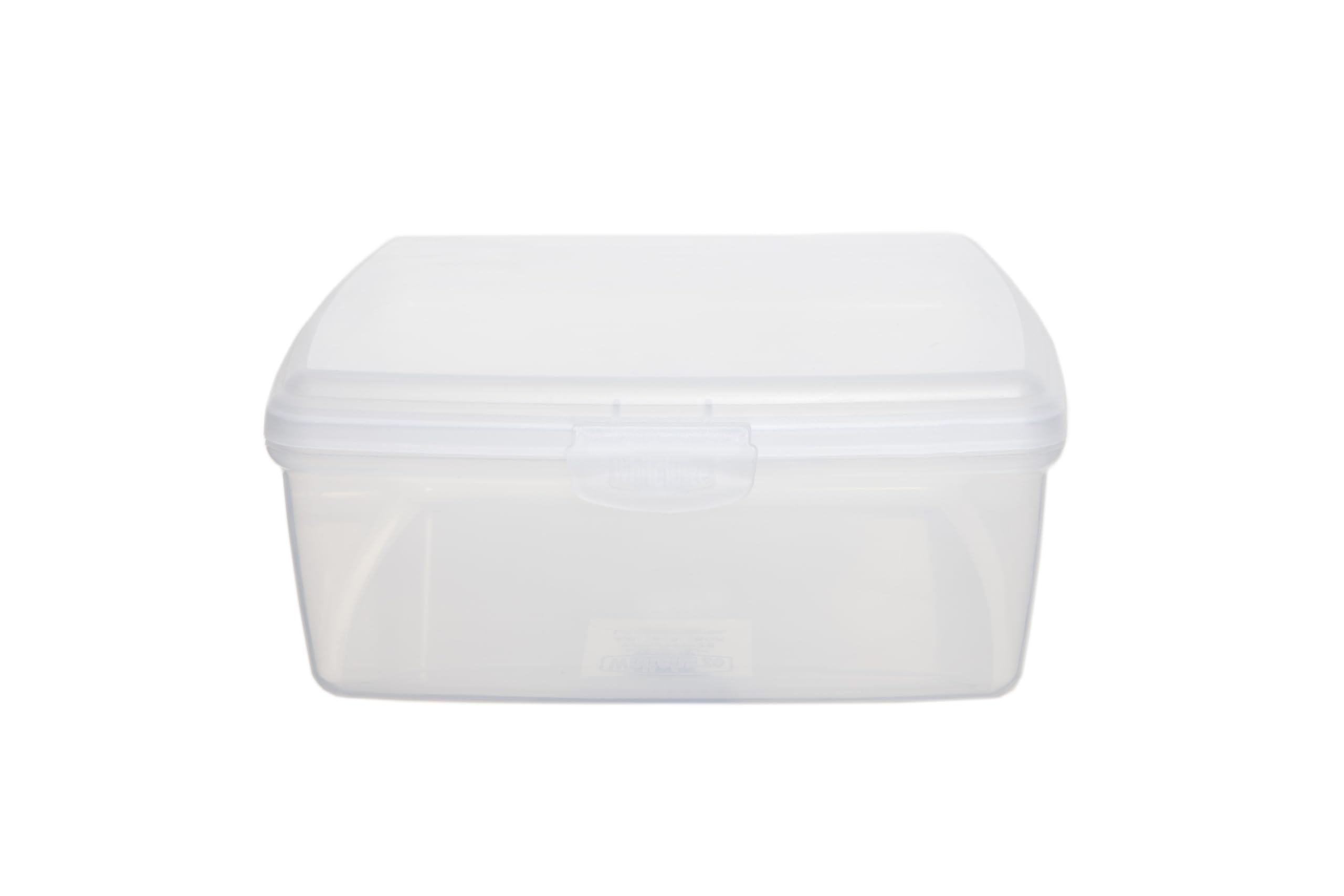Whitefurze Allstore Multi-purpose Storage Box, 1.7L