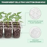 Verdenu B09PD65G2L lato 4