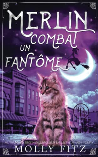 Merlin combat un fantôme (Merlin, le Matou Magi... [French] 1644512858 Book Cover