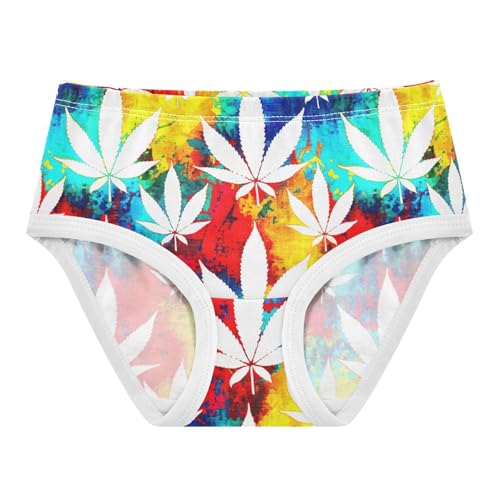Joisal White Leaves Colorful Grunge Toddler Underwear Floral 2t Cotton Little Girl Panties Fun Kids Briefs Undies