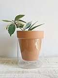 RISEON Self Watering Terracotta Pot,Terra Cotta Planter with Cylinder Glass Cup for Indoor Outdoor,Terracotta Clay Pot (4")