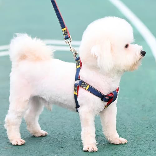 犬用ストラップ牽引ロープセットカウボーイデザイン犬用ストラップ首輪牽引ロープ散歩着脱の調節が簡単 (L(40-55斤))