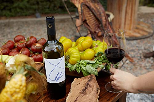 Vinho Tinto Bodega Dante Robino Malbec