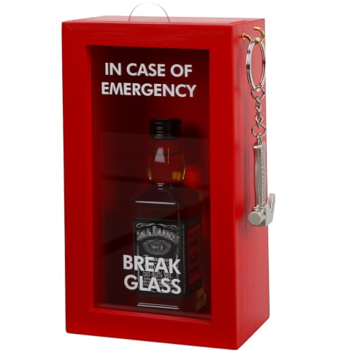 JULEASEL Funny Gift Emergency Box w/Hammer(Medium) Break in Case Box