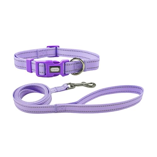 Olahibi Set collare e guinzaglio, poliestere resistente, con striscia riflettente, guinzaglio coordinato da 150 cm per cani di piccola taglia S, lilla