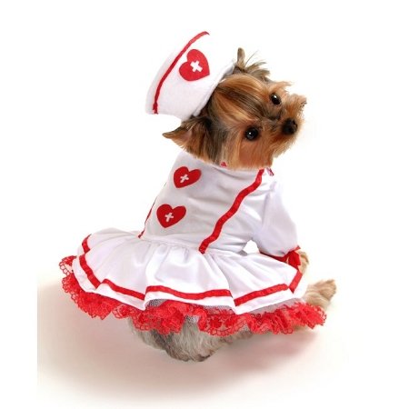 Domestic Pet Happy Halloween Cutie Nurse Dog Costume-XSmall