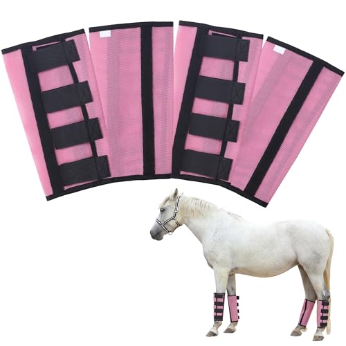 Bottes anti-mouches pour chevaux : fini le piétinement au paddock !