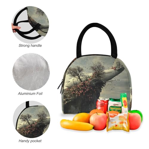 Backpack Lunch Box Set Large Capacity Travel Backpacks and Insulated Lunch Bag for Commute Hiking Picnic Wreck Of Plane Print4