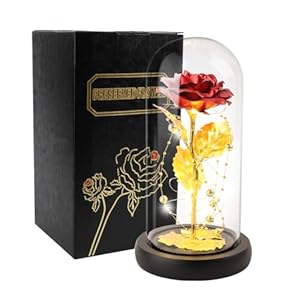 Fejkxshj Preserved Rose Flower, Light Up Rose in Glass Dome Eternal Artificial Forever Flowers Gift for Her, Women Mother’s Day Anniversary Birthday Valentine’s Day, Red Rose Desktop Decoration