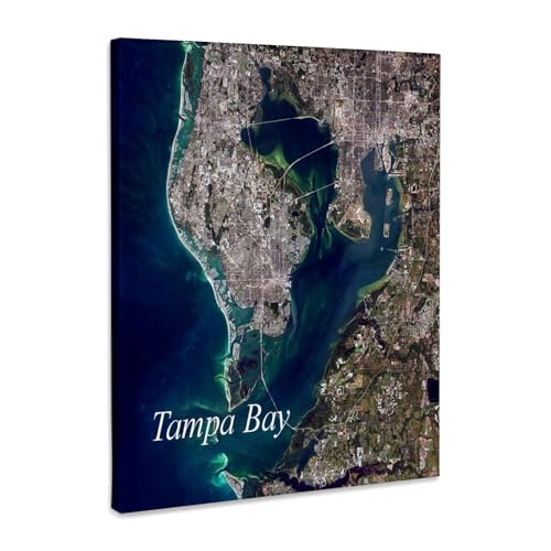 3dRose - Image of Tampa Bay Florida Aerial Map - Museum Grade Canvas Wrap - (cw-317556-1)