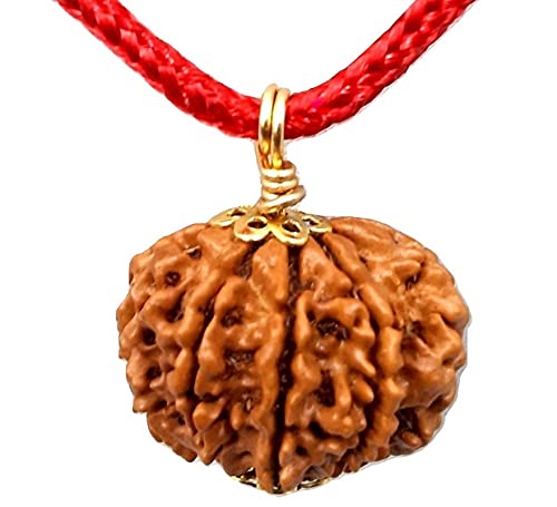 MITHILA HANDICRAFTS 7 Mukhi/Faced Nepali Rudraksha with Ganga Jal, Natural & Certified | Astrological Seven Mukhi/Face Rudraksha | Positive Effect | Unisex Both for Men & Women (B09GMBNCWF) Amazon Price History, Amazon Price Tracker
