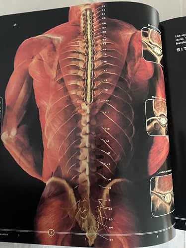 男女対照生体の構造とデザイン : いま明らかとなる人体の驚異 男女対照 生体の構造とデザイン | アレグザンダー シアラス