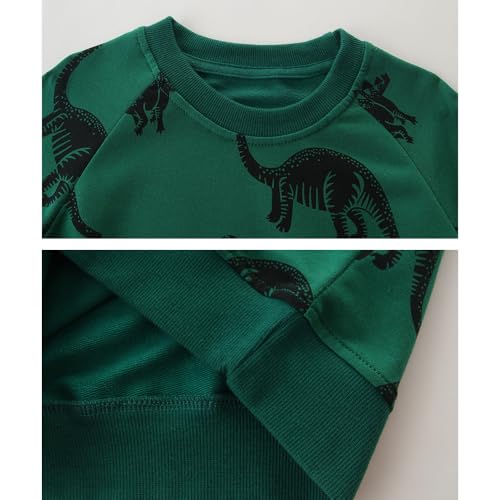 Image of GFQLONG Toddler Boy Sweatshirt 2T 3T 4T 5T Long Sleeve Shirts Boys Sweater | cotton Dinosaur Cartoon Pullover Crewneck Sweatshirt,toddler boy sweaters tops,kids fall winter clothes