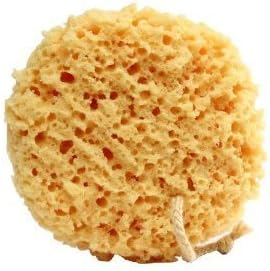 Beach Bum Foam Bath Sponge - 2 Count Yellow Synthetic Mesh