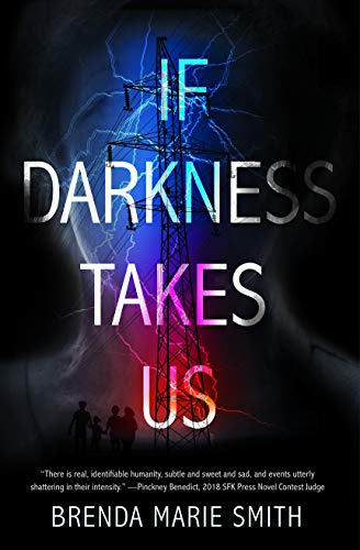 If Darkness Takes Us view 2