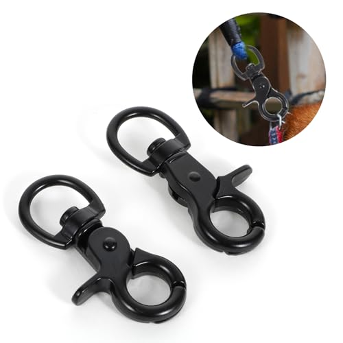 Edelstahl Karabinerhaken mit Drehgelenk, 2 Stück