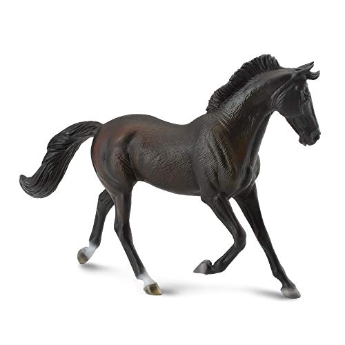 PurSang Anglais guide race de cheval