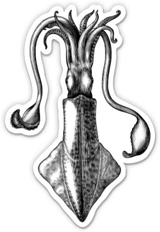 Squid Vintage Illustration - Adhesivo de vinilo de 3 pulgadas para auto, laptop, casco de teléfono, casco de teléfono, calcomanía impermeable