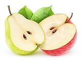 FRESCO Dog Trockenbarf I Daily Menü Rind mit Rote Bete, Apfel und Karotten I 1 kg