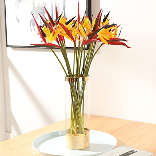 NatureMan Lot de 10 fleurs artificielles Oiseau de paradis, 57 cm, fleurs tropicales hawaïennes Strelitzia pour décoration de maison, jardin, bureau, véranda, décorations de mariage (jaune) Cover