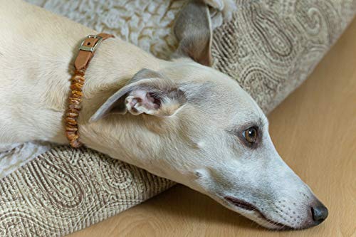 Amber Neck – Bernsteinhalsband für Hunde & andere Haustiere – Handgemacht aus echtem baltischen Bernstein – Echtes Leder – Verstellbar – Geschenkverpackung – Größen 40-45 cm