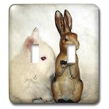 3dRose Cassie Peters Rabbits - Lionhead rabbit and rabbit statue - double toggle switch (lsp_302176_2)