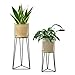 Produktbild [en.casa] Pflanzständer im 2er Set Blumenständer aus Metall Blumentopf Ständer mit Übertopf Blumentopfhalter 2-TLG. Pflanztopf Deko Schwarz-Goldfarben