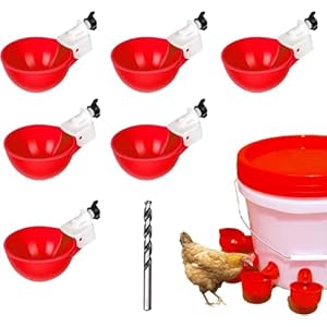 6 Pezzi Abbeveratoio Per Galline,DI...
